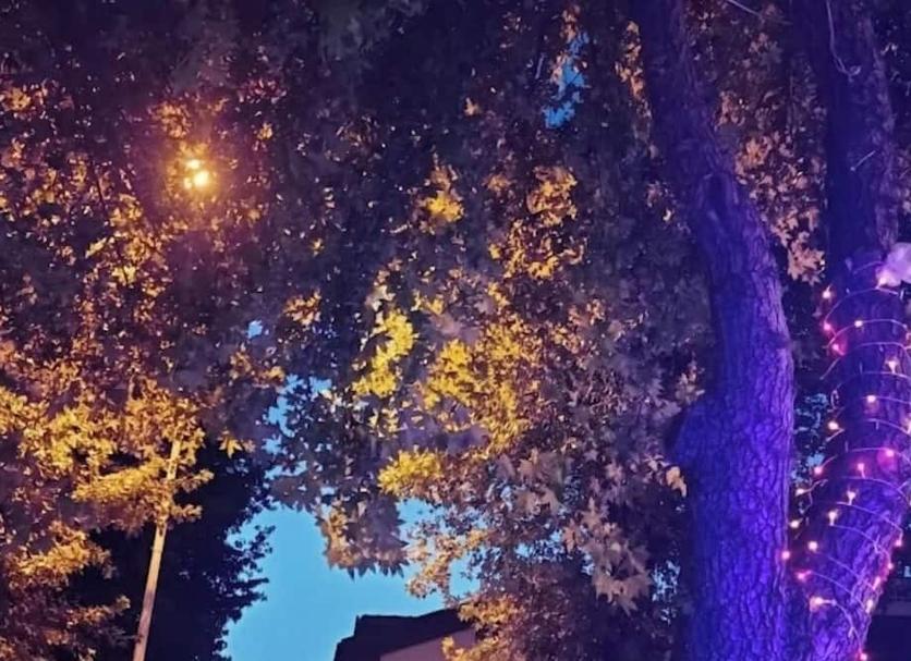 Outdoor view Photo