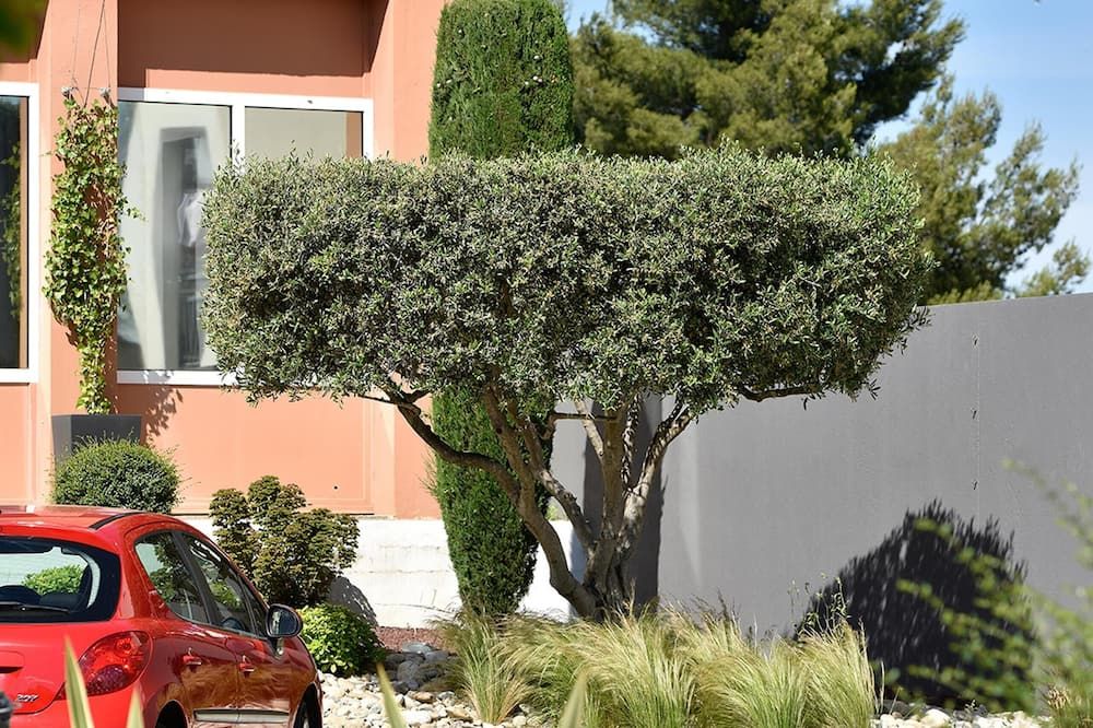 Outdoor view
