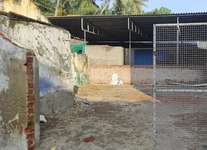 Other Photo
