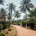 Outdoor view