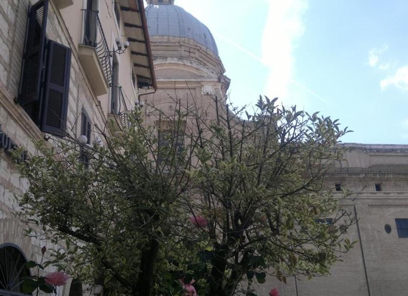 Outdoor view Photo