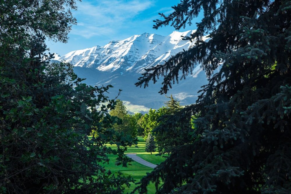 Outdoor view
