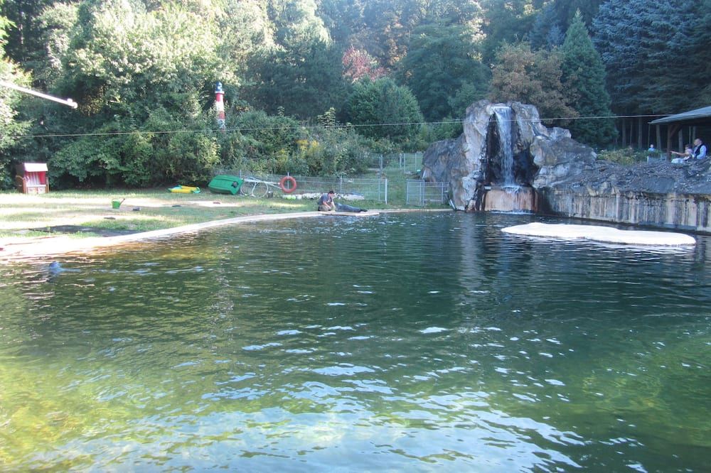 Outdoor view