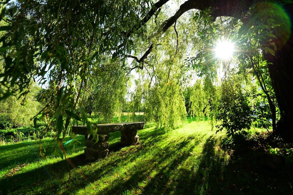 Outdoor view