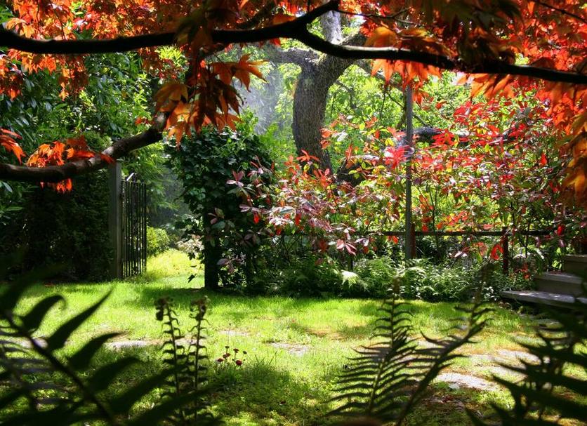 Outdoor view Photo