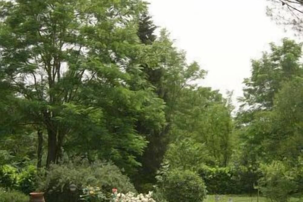 Outdoor view
