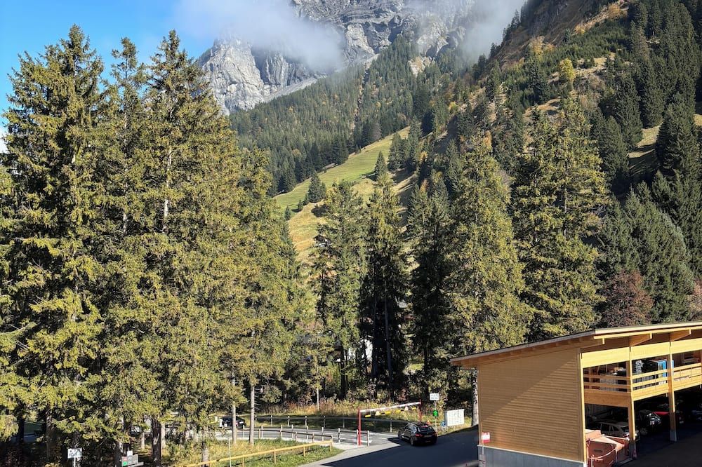 Outdoor view