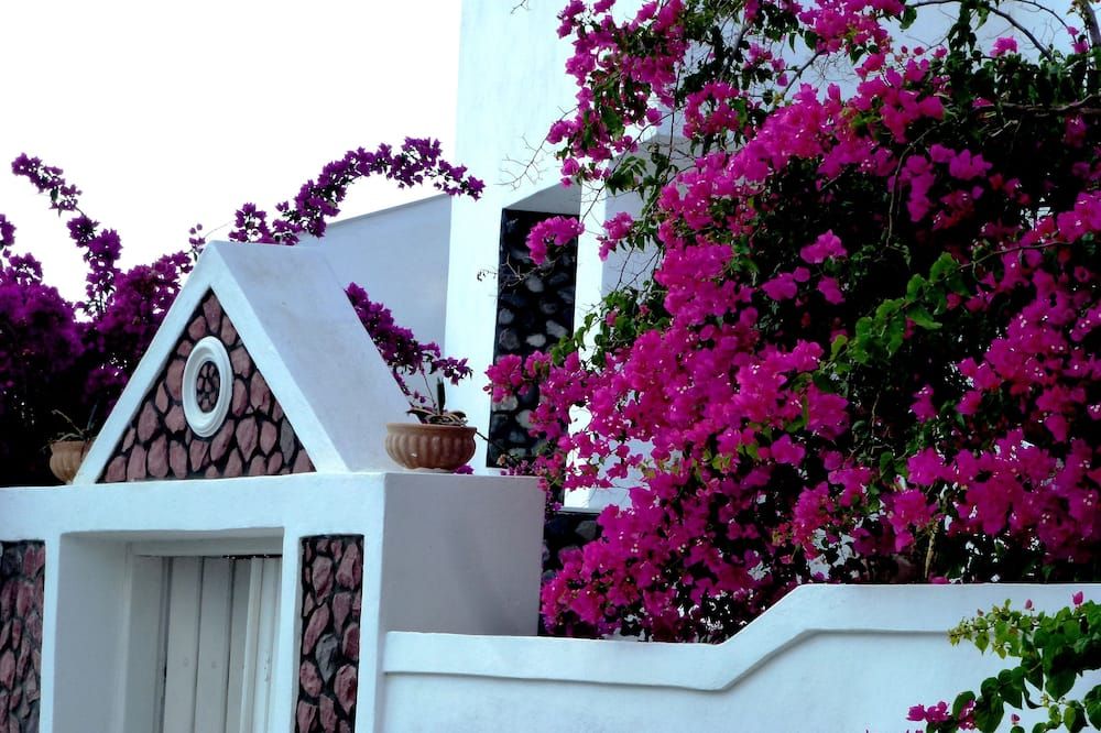 Outdoor view