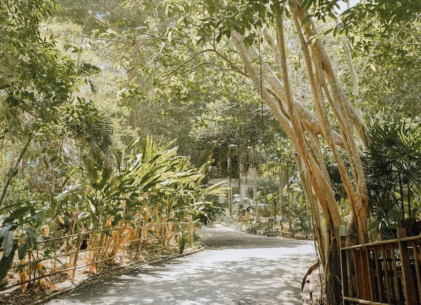 Outdoor view Photo