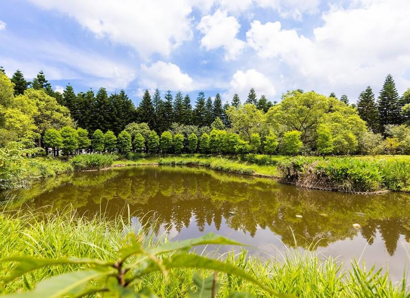 Outdoor view Photo