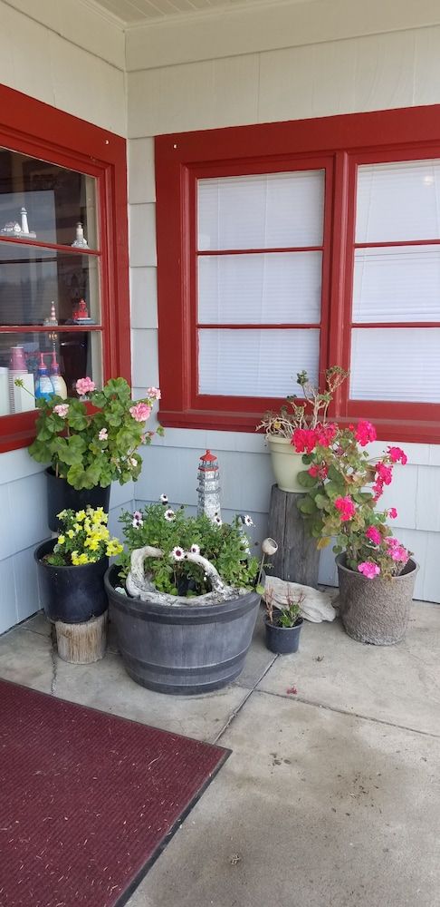 Outdoor view