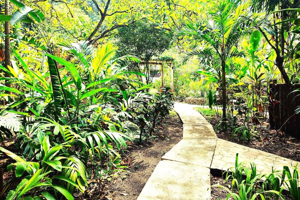 Outdoor view