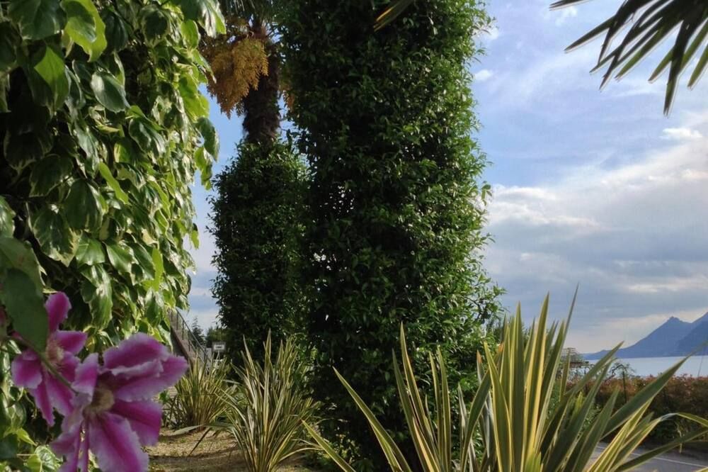 Outdoor view