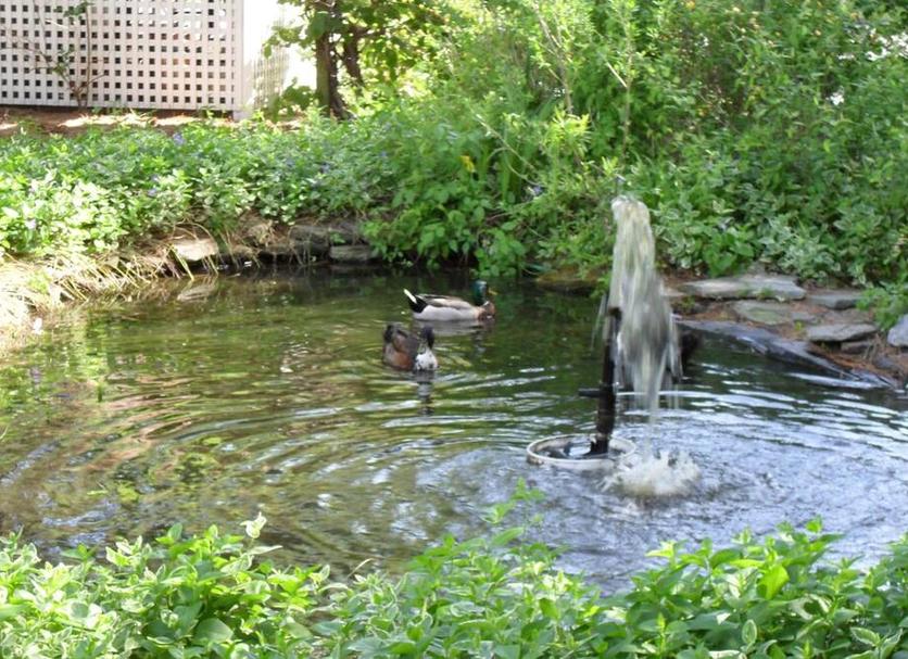 Outdoor view Photo
