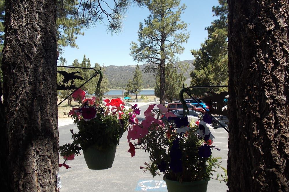 Outdoor view