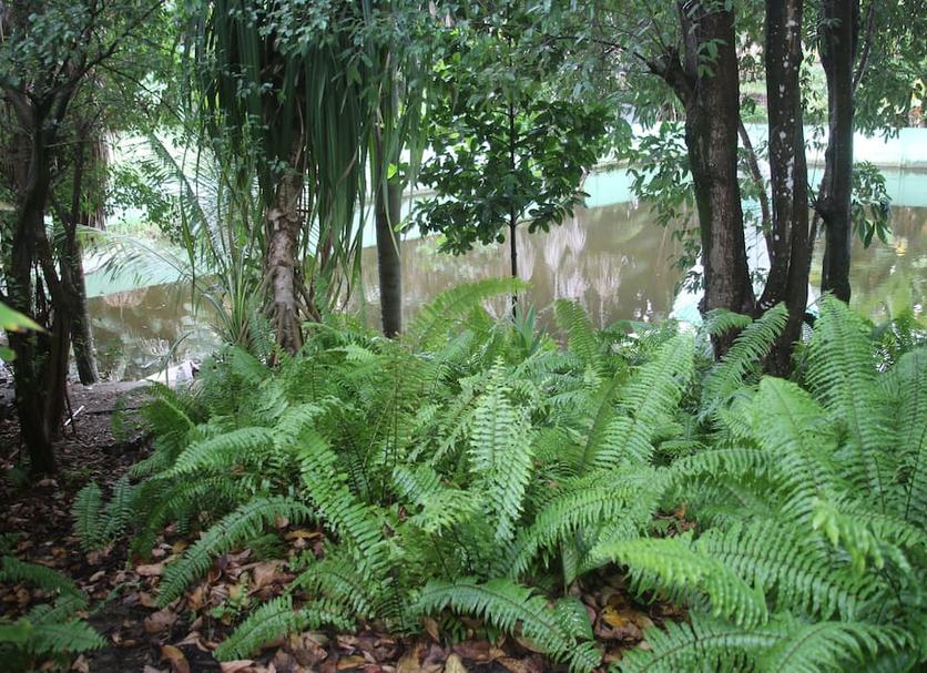 Outdoor view Photo