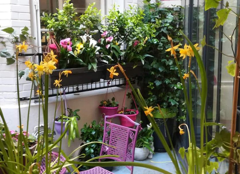 Outdoor view Photo