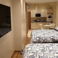 London Luxury 2 bed studio 4 mins from Ilford Station