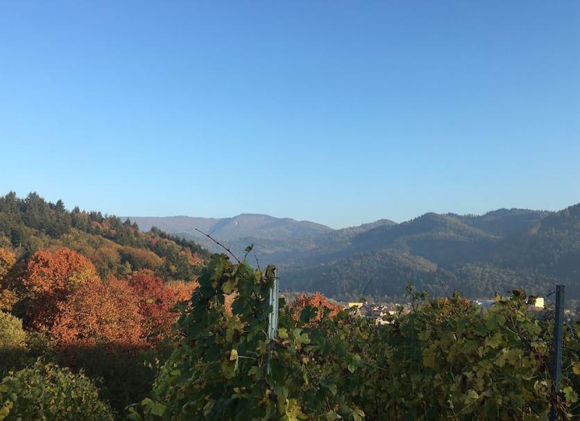Outdoor view Photo