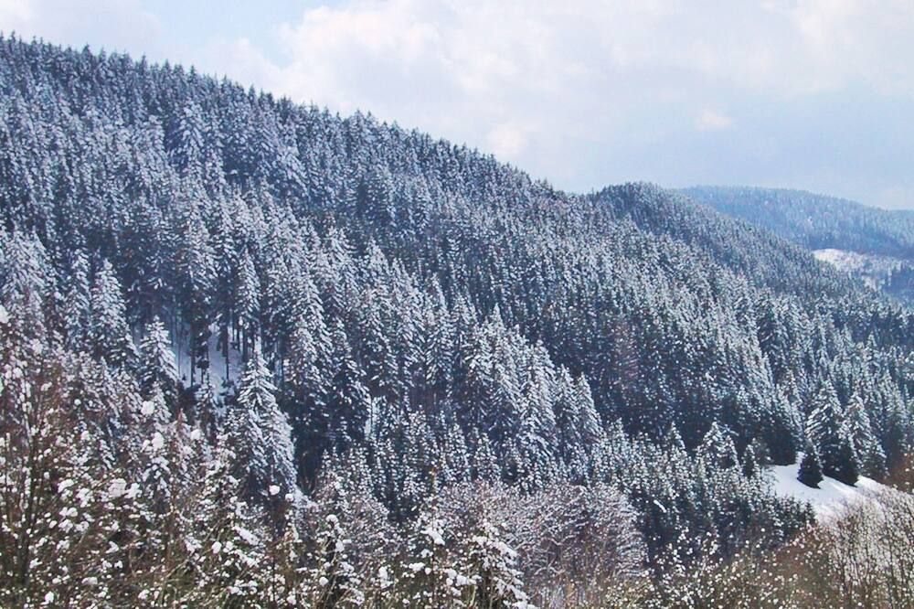 Outdoor view