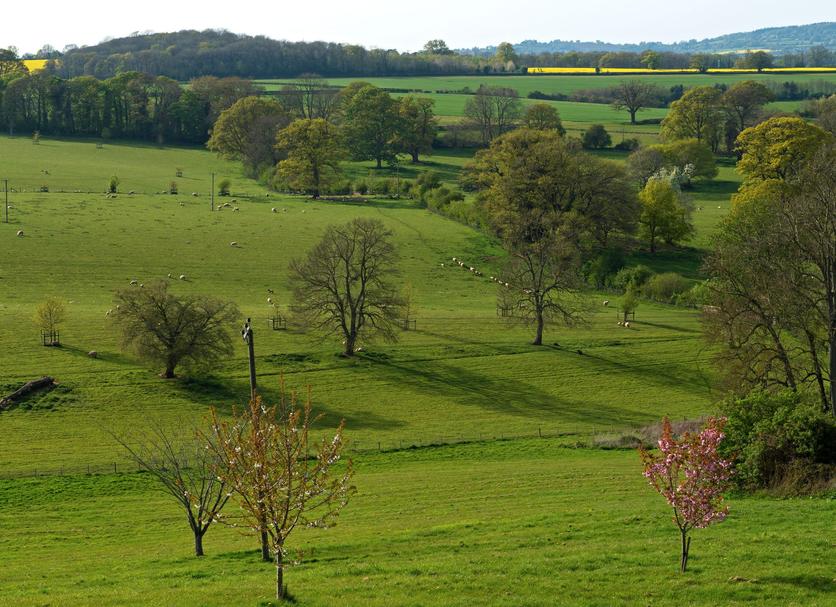 Outdoor view Photo