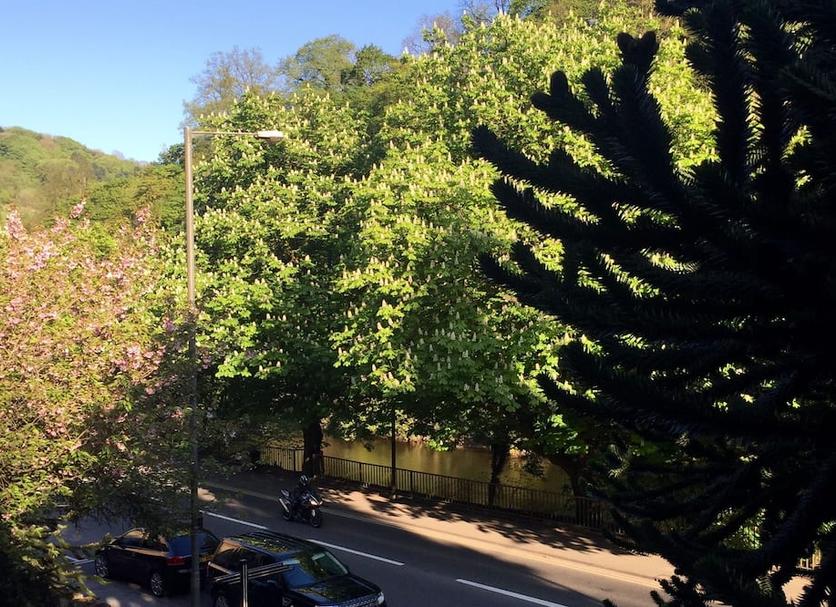 Outdoor view Photo