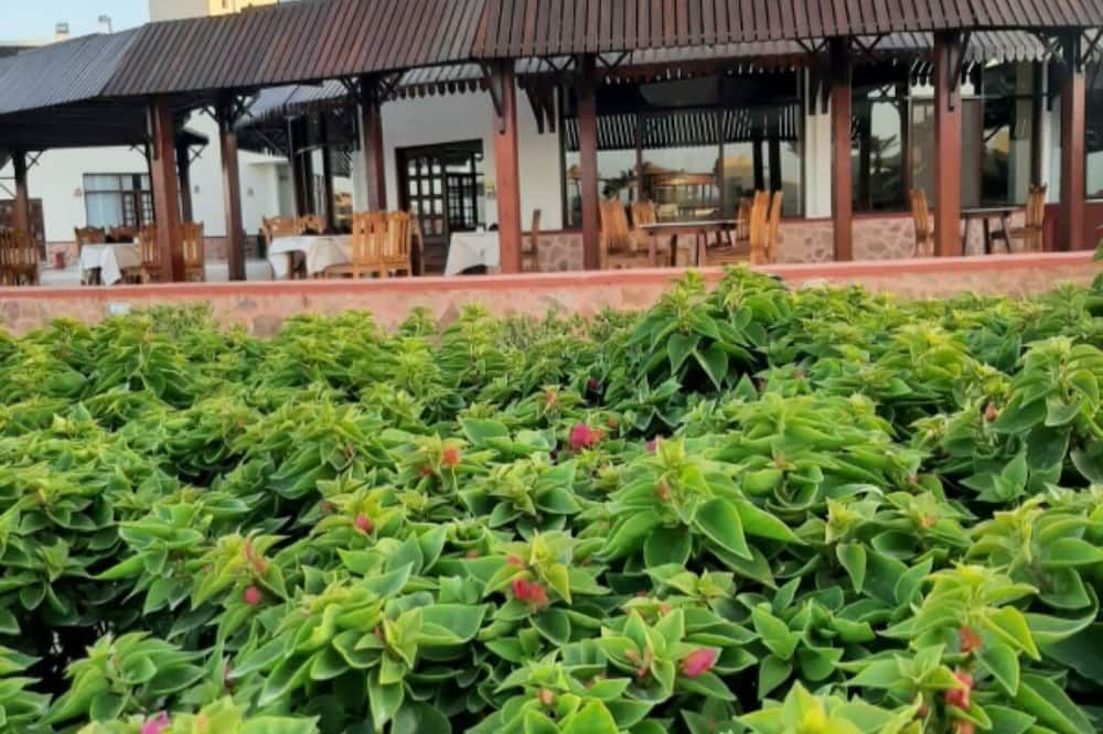 Outdoor view