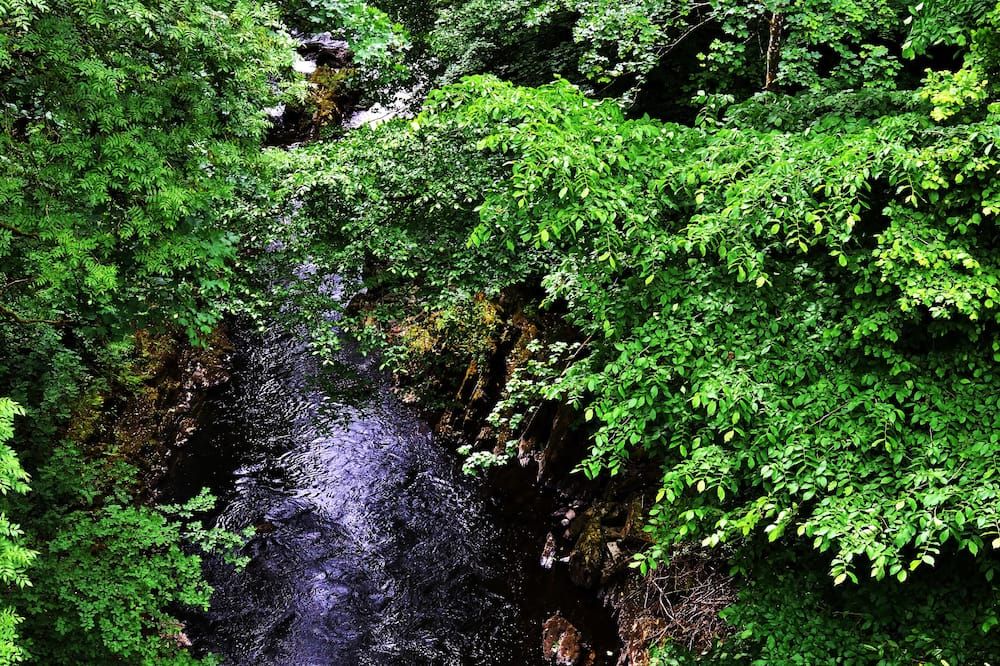 Outdoor view