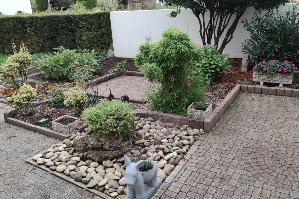 Outdoor view