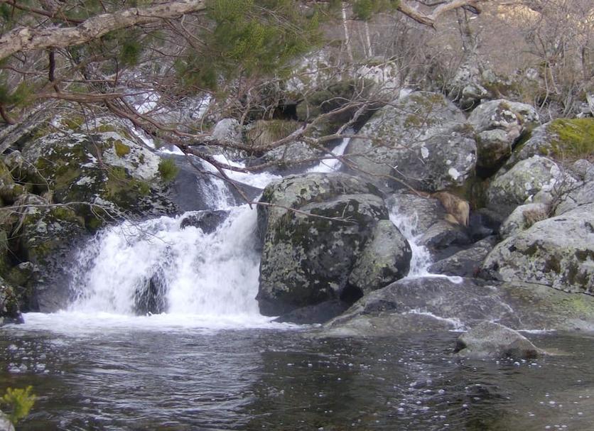 Other Photo