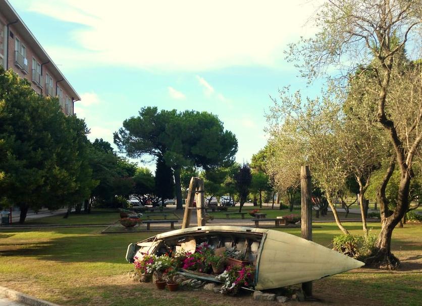 Other Photo
