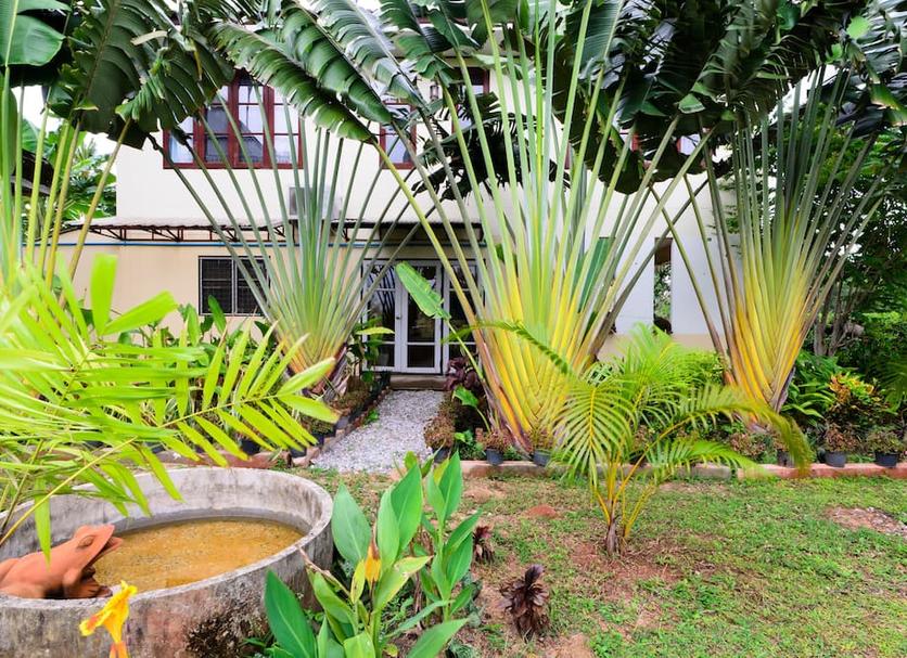 Outdoor view Photo