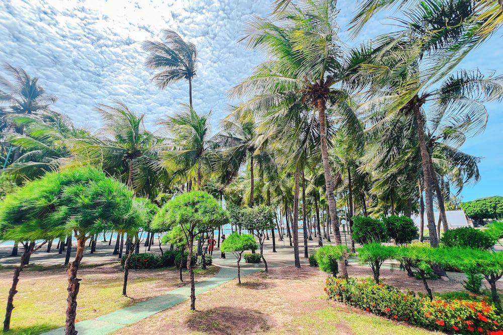 Outdoor view