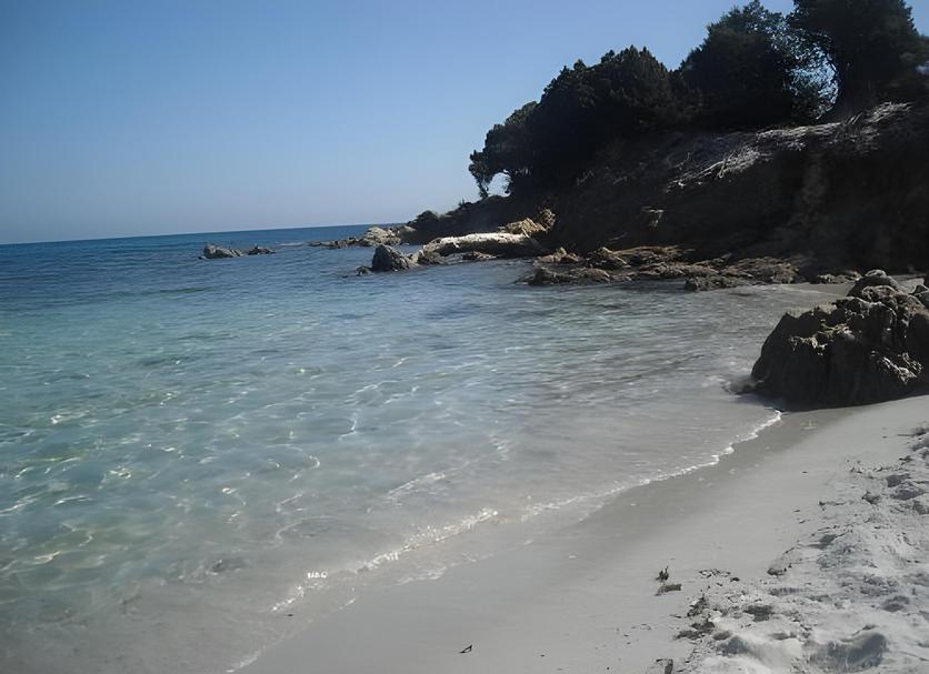 Beach Photo