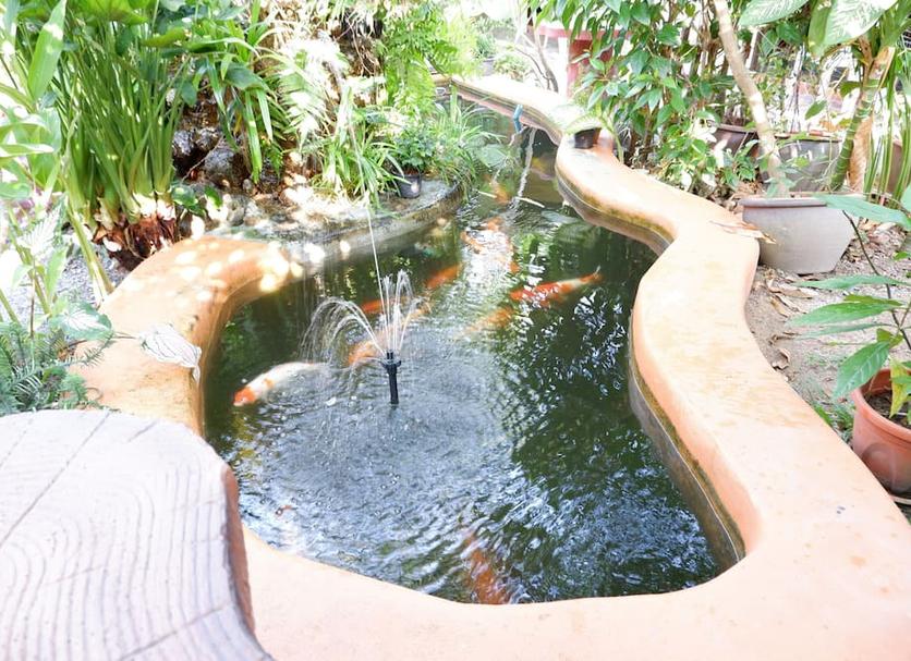 Outdoor view Photo