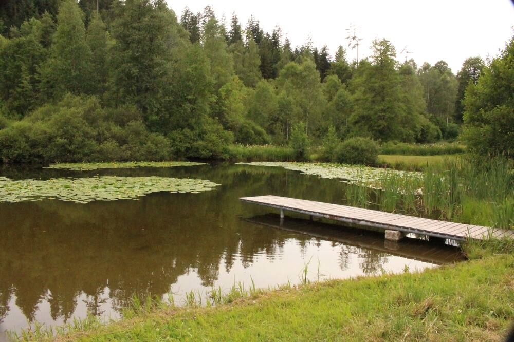 Outdoor view