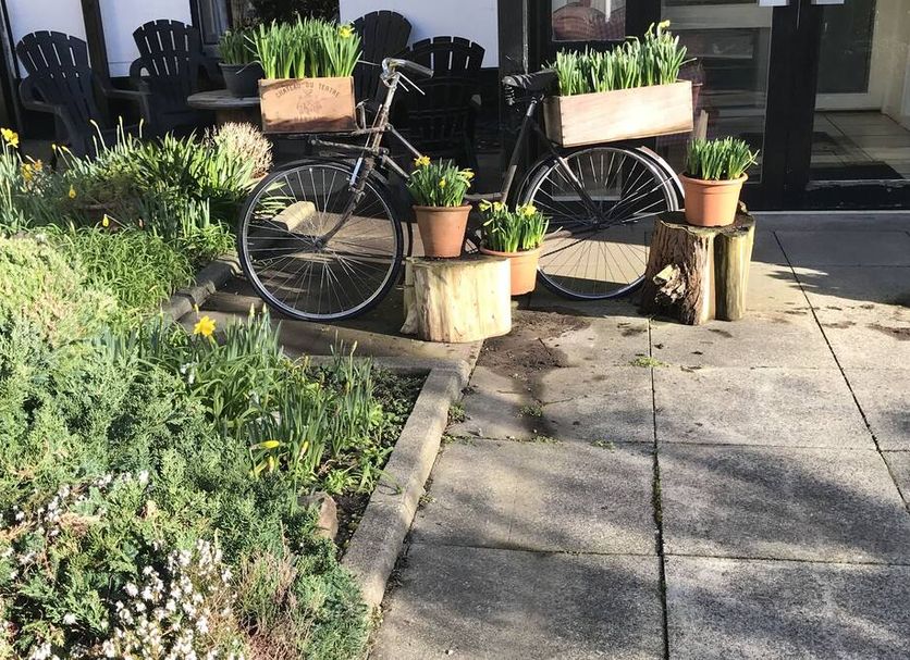 Patio Photo