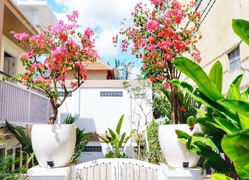 Outdoor view Photo