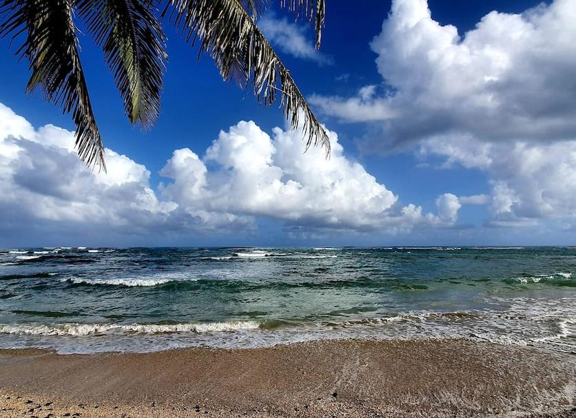 Beach Photo