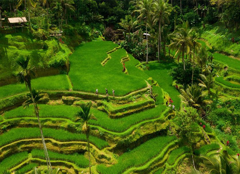 Outdoor view Photo