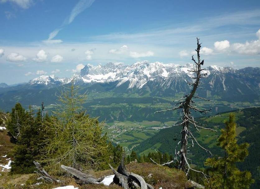 Outdoor view Photo
