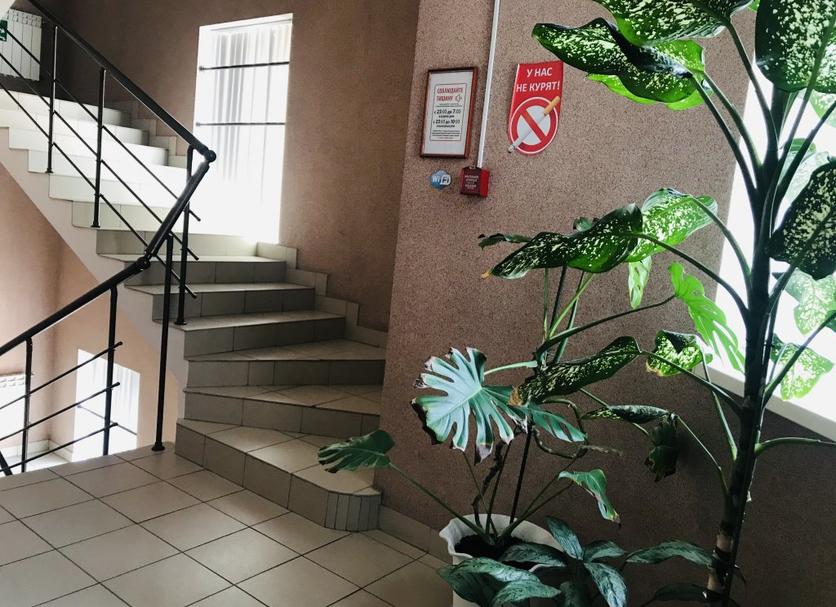 Stairs Photo