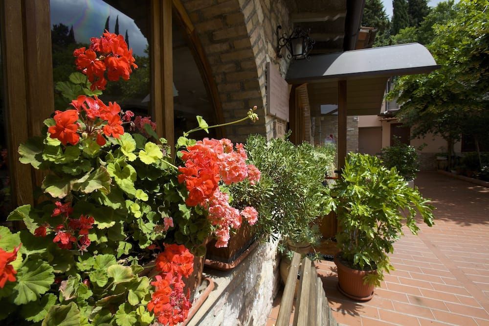 Outdoor view