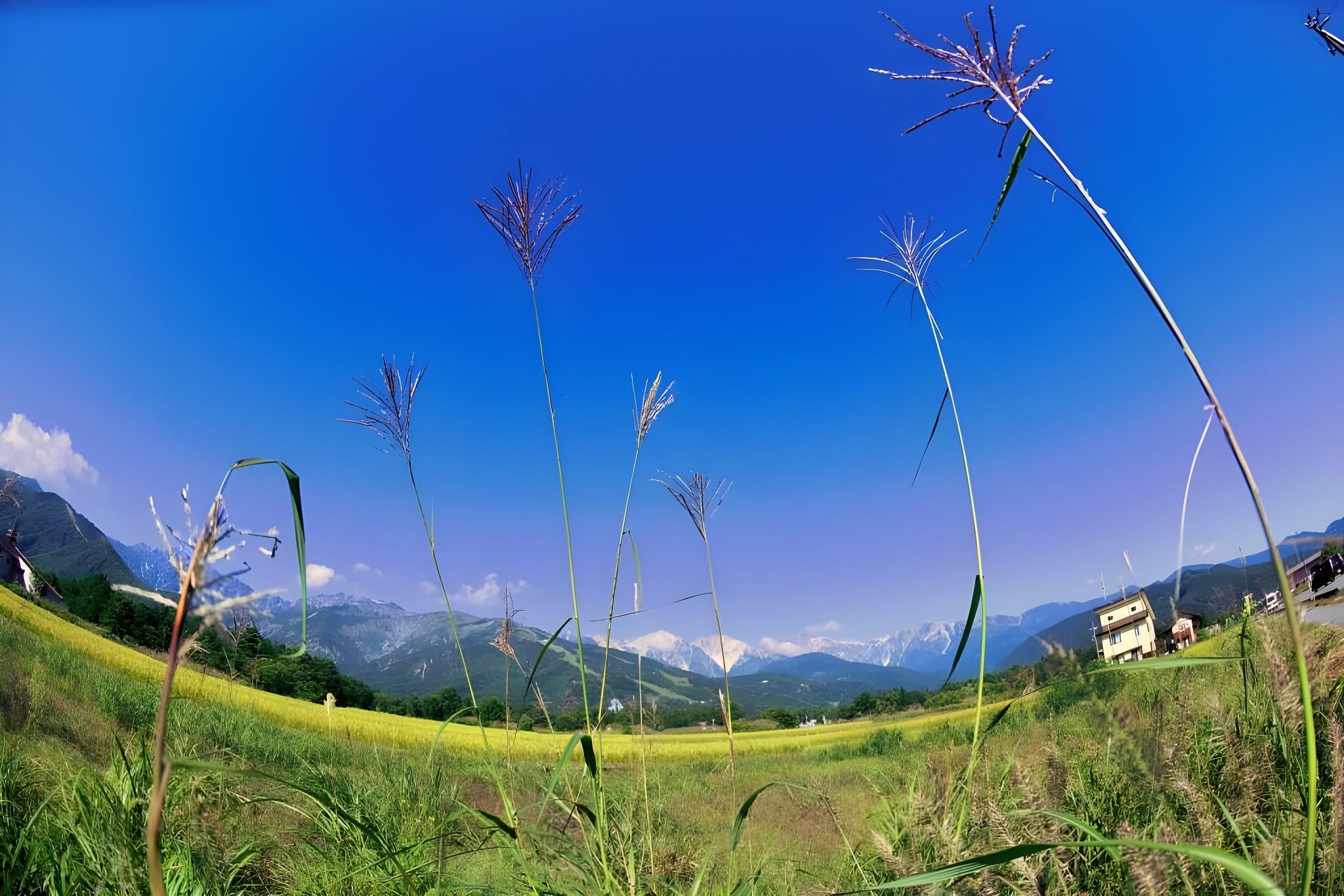 Outdoor view