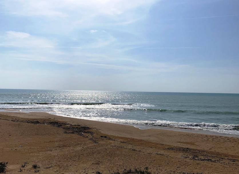 Beach Photo