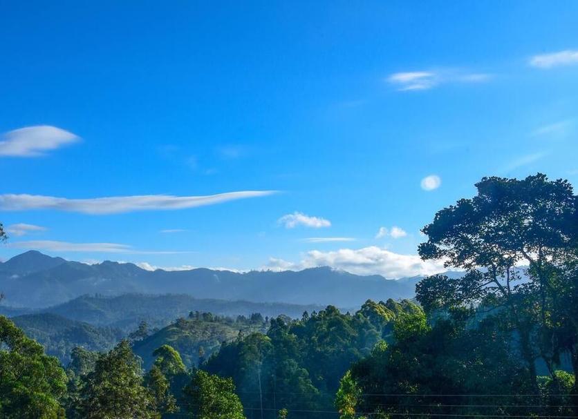 Outdoor view Photo