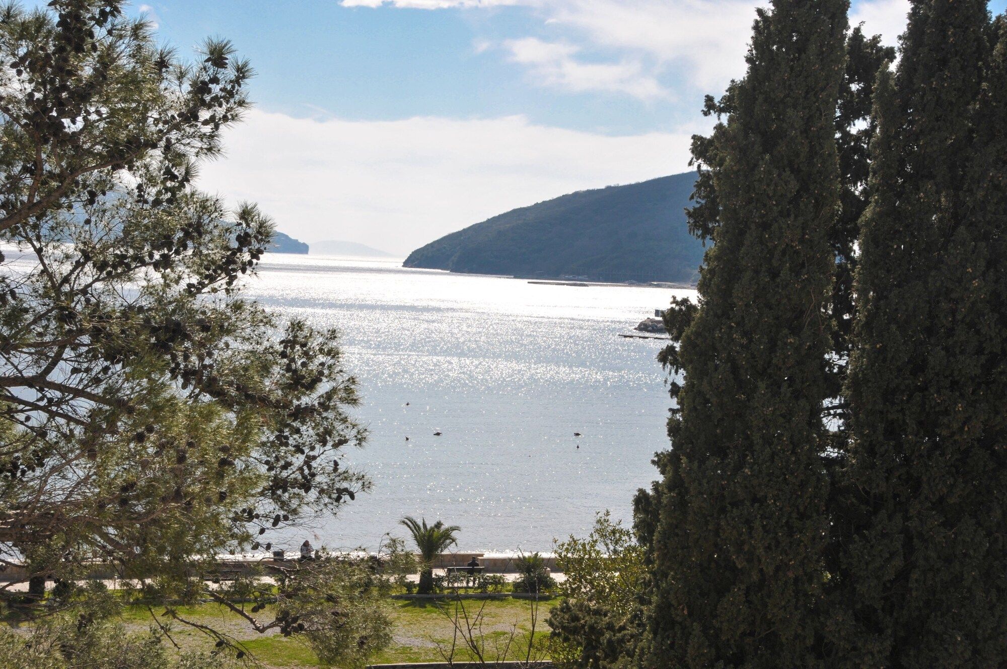 Outdoor view