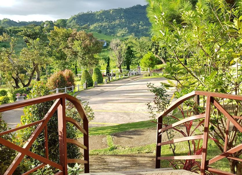 Outdoor view Photo