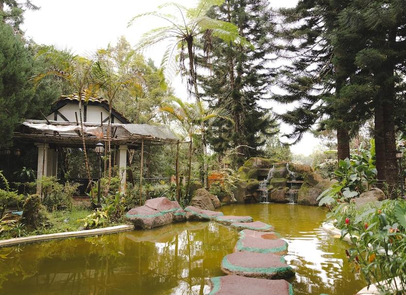 Outdoor view Photo