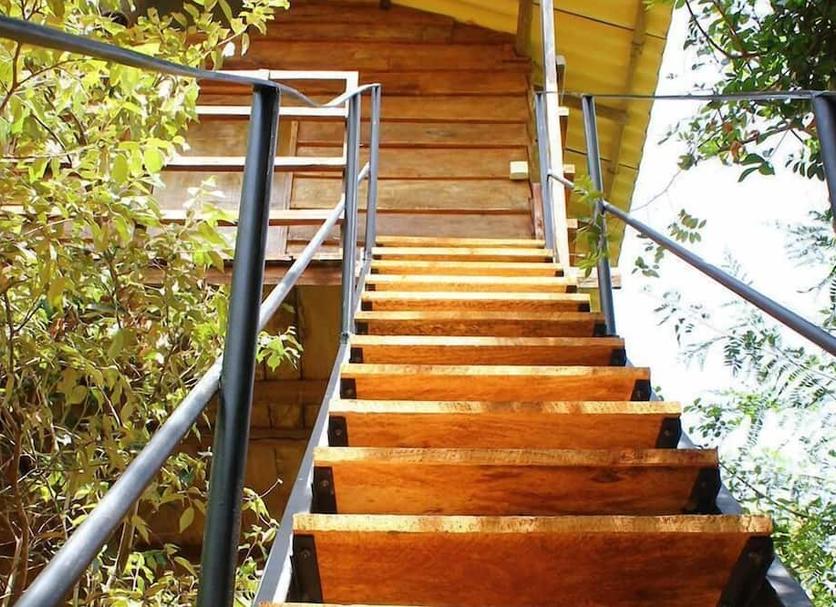 Stairs Photo